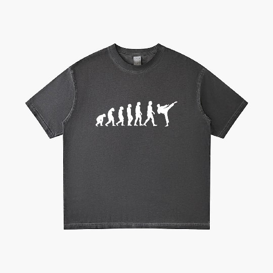 Evolution of Karate Gradient T Shirts