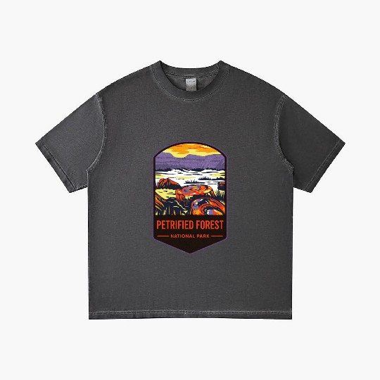 Petrified Forest National Park Gradient T Shirts