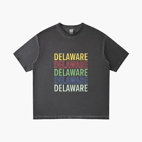 Delaware State USA America United States Gradient T Shirts