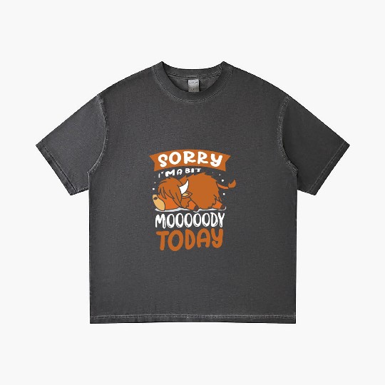 Sorry I'm A Bit Moody Today Highland Cow Gradient T Shirts