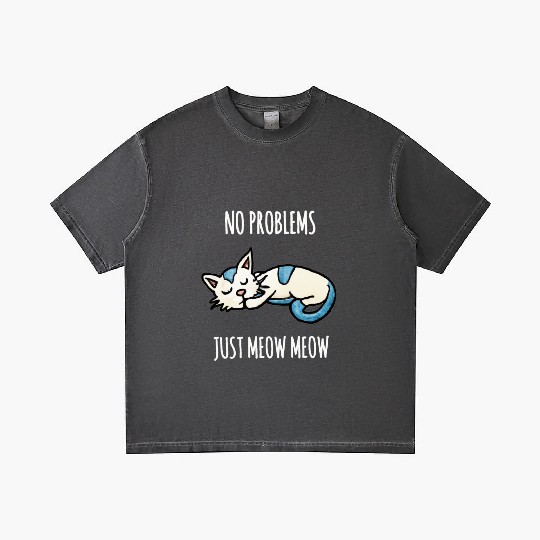 No problems Just meow meow, sleeping cat quote Gradient T Shirts