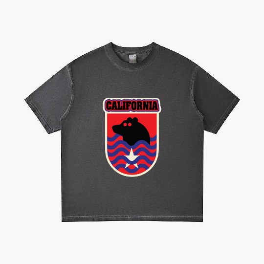 US States CALIFORNIA Gradient T Shirts