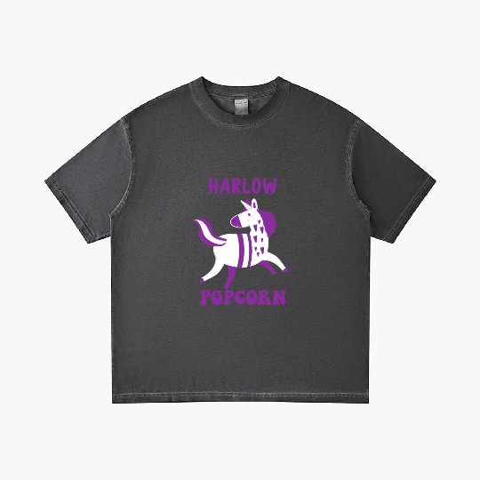 Harlow And Popcorn Merch Popcorn The Pony Gradient T Shirts