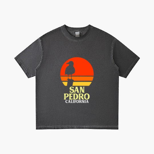 San Pedro California Beach Seagull Gradient T Shirts