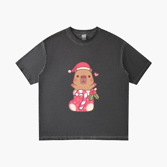 Cute Capybara In Christmas Stocking With Candy Gradient T Shirts