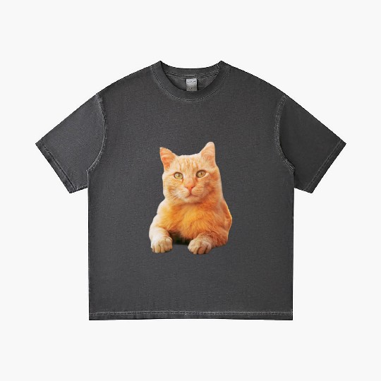 Orange Cat Gradient T Shirts