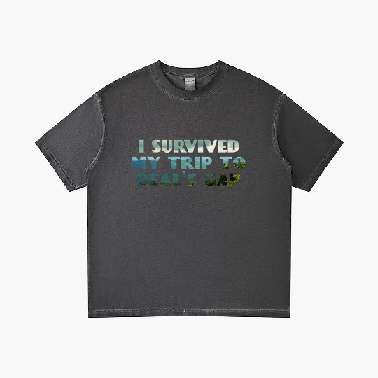 I Survived My Trip To Deals Gap Funny Deals Trip Gradient T Shirts