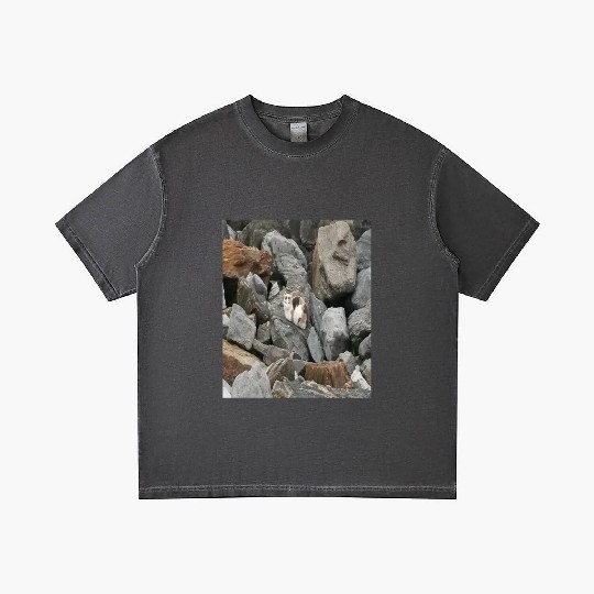 Camouflage Cat On Rocks Gifts for Animal Lovers Gradient T Shirts
