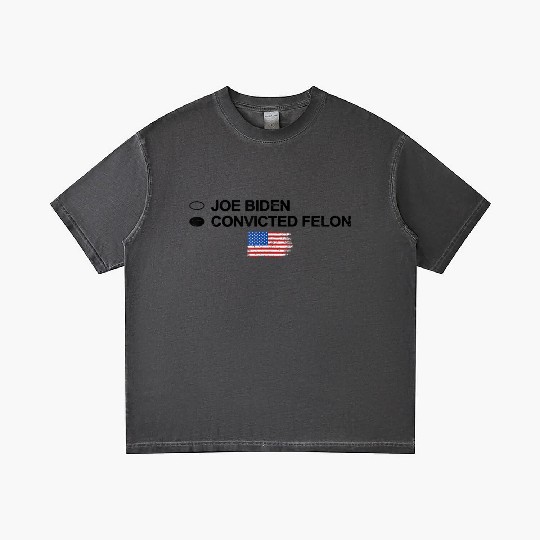 Joe Biden Vs Convicted Felon Funny 2024 Flag Gradient T Shirts