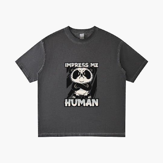 Impress Me Human Panda Bear Friend Giant Panda Gradient T Shirts