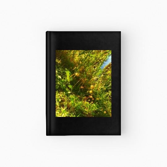 Autumn is coming flowers green orange yellow blue Hardcover Journal