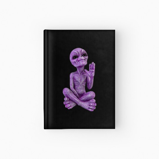 Purple Stone Alien Statue Hardcover Journal
