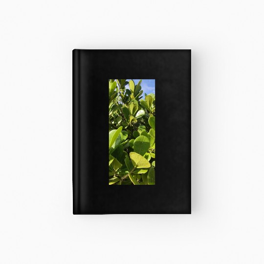 beautiful green plant in the garden Hardcover Journal