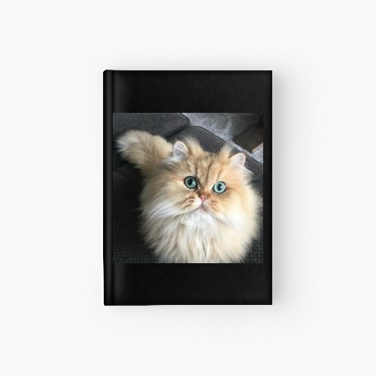 Cat lover Hardcover Journal