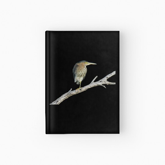 Green Heron Hardcover Journal
