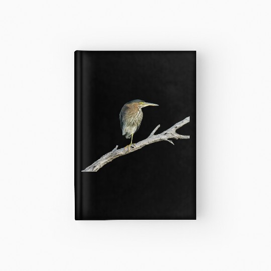 Green Heron Hardcover Journal