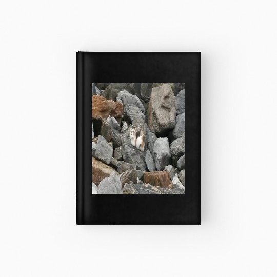 Camouflage Cat On Rocks Gifts for Animal Lovers Hardcover Journal
