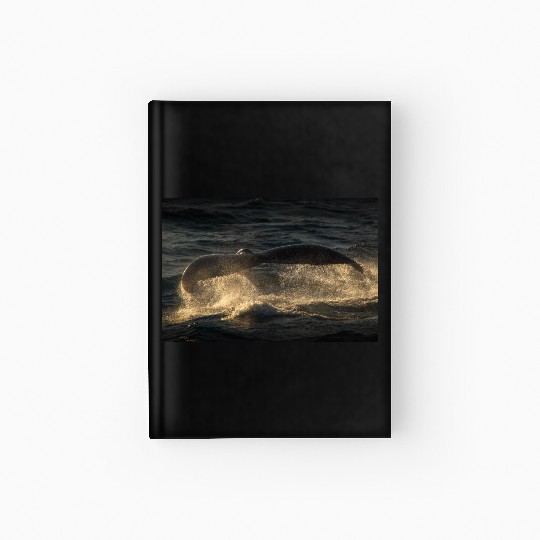 Humpback Whale Tail Hardcover Journal