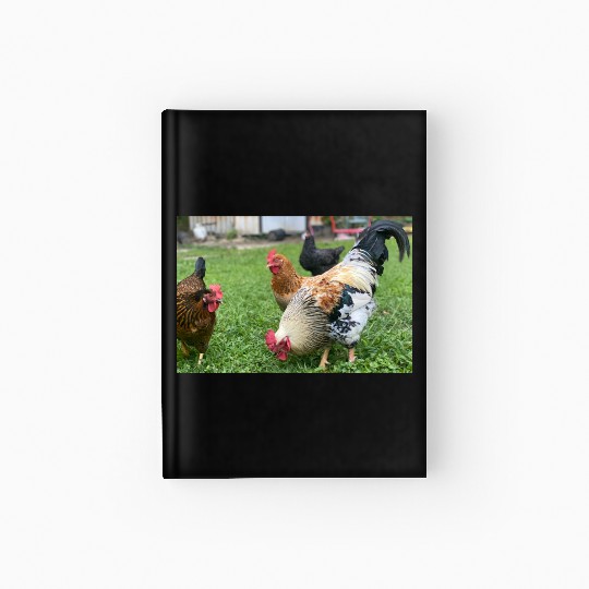 Farmyard Rooster and Chickens Illustration Hardcover Journal