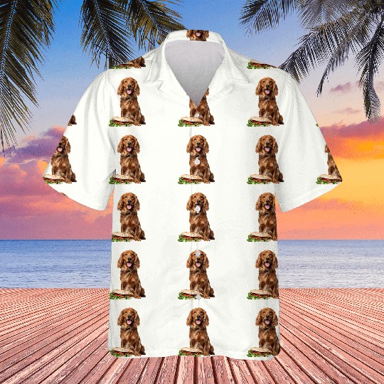 Irish Setter Hawaiians