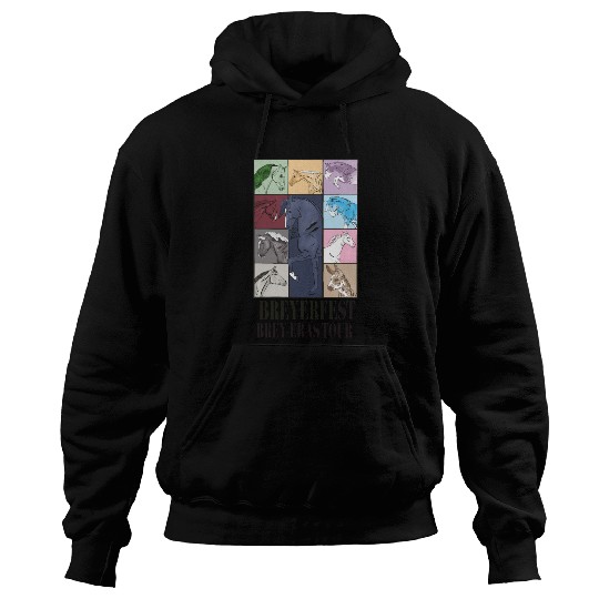 BREY-ERAS TOUR Hoodies