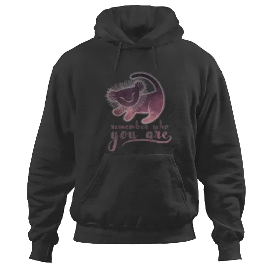 Disney The Lion King Remember Who You Are Simba Painting Hoodies