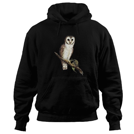 Barn Owl Illustration Of Bird On Branch Hoodies