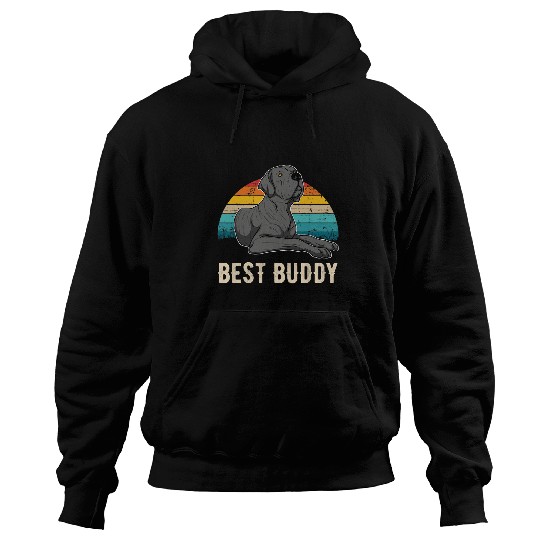 Dog Great Dane German Mastiff Great Dane Sunset 29 Hoodies