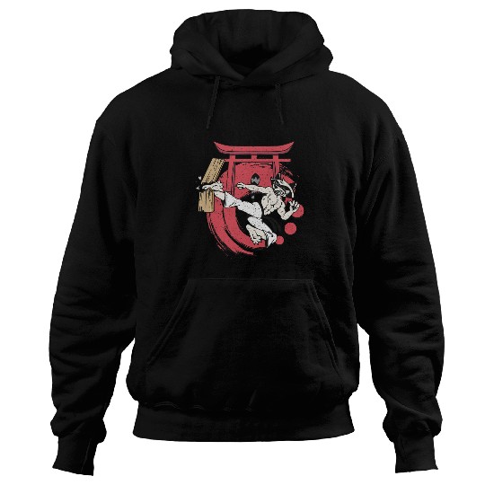 Karate and Karateka and Karate racoon with japanese karate Hoodies