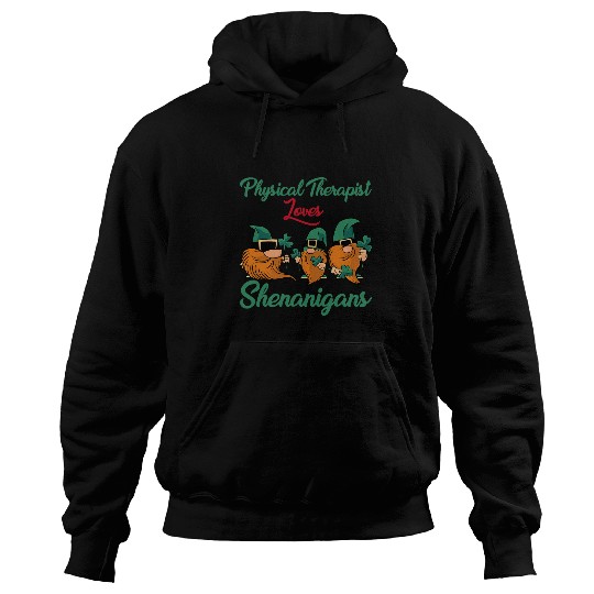 Funny Physical Therapy Loves Shenanigans St Patricks Day Hoodies