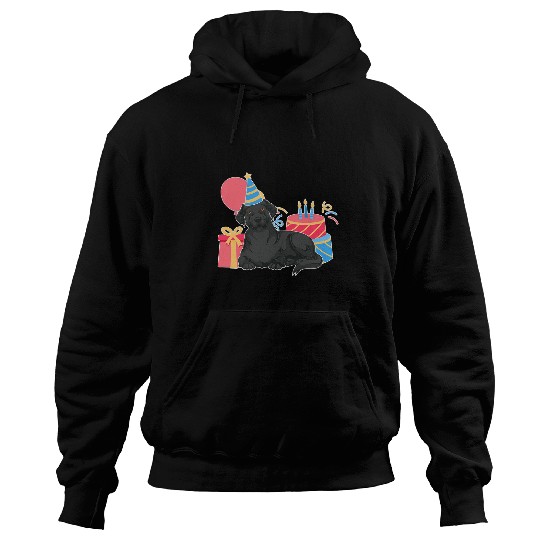 Labrador Lab Dog Black Labrador Lover Dog Owner Kids Birthday Party Black Lab Hoodies