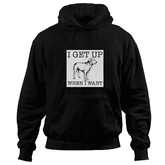 Labrador Lab Dog funny dog lover gift 28 Hoodies