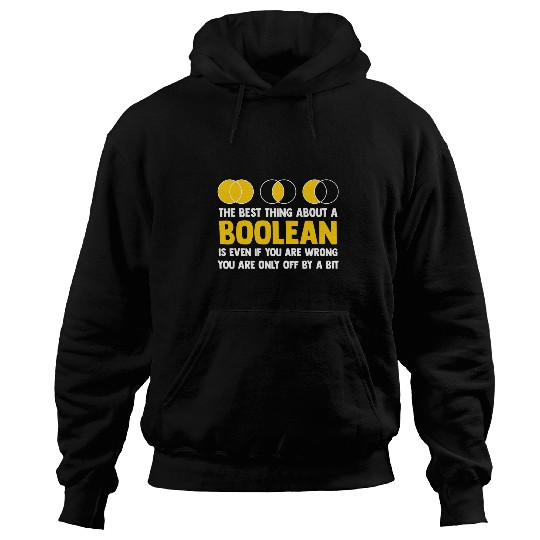 Programmer Coder Developer Software Engineer Programming 1 Hoodies