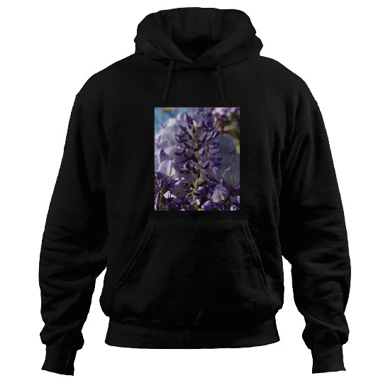 Purple And Lilac Buds Of Blooming Wisteria Photograph Hoodies