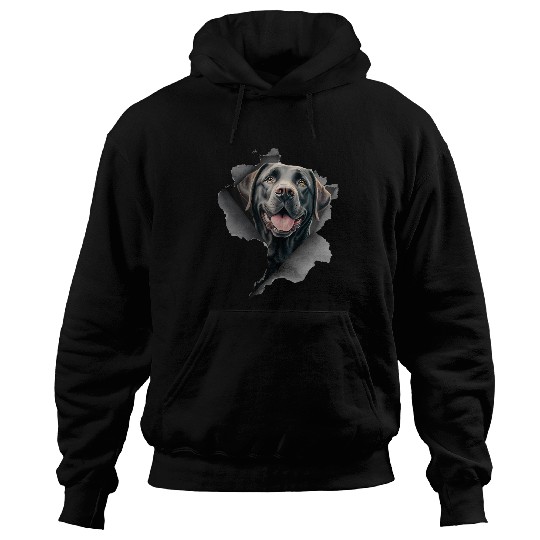 Labrador Lab Dog Peeking Funny Dog Mom Dad Ripped Effect Hoodies