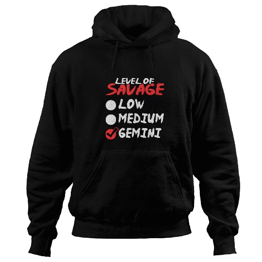 Funny Birthday May June Horoscope I Level of Savage Gemini Hoodies