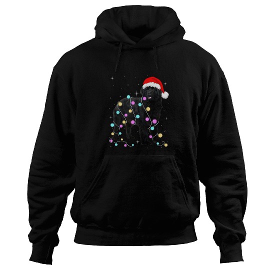 Newfoundland Pet Santa Hat Christmas Light Xmas Hoodies