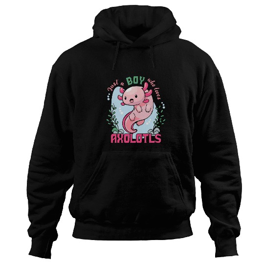Axolotls Pet Just a Boy Who Loves Axolotlss Mexican Salamander Animal Hoodies