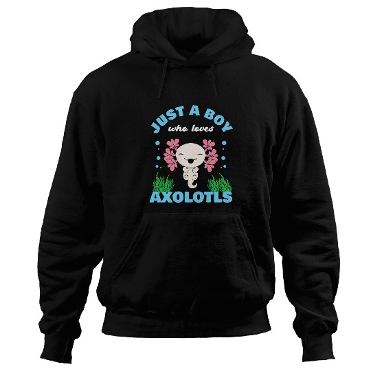 Axolotls Pet Just A Boy Who Loves Axolotlss Cute Salamander Axolotls Hoodies