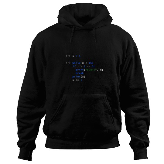 Funny Python Coding Dad 2Python Code Father Gift Hoodies