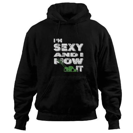 Lawn Mower Fun Landscaping Gardener Im Sexy And I Mow It Lawn Mowing Fun 1 Hoodies