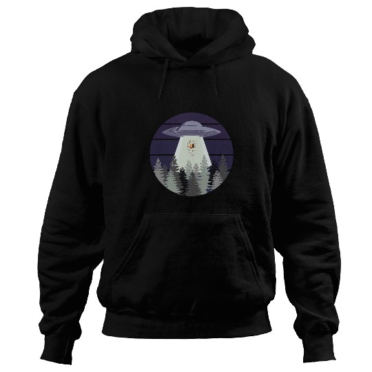 Aliens UFO bee hive abduction by uap 2ufo 2alien art Hoodies