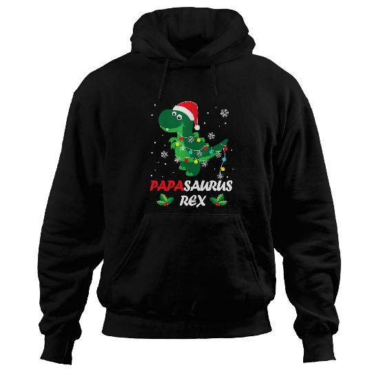 Dinosaur Pet Papasaurus T rexs Dinosaur Funny Family Matching Christmas Hoodies