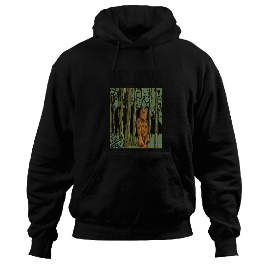 Bigfoot Pet Star Wars Classic Chewbacca Pop Art Bigfoot Believe Poster Hoodies