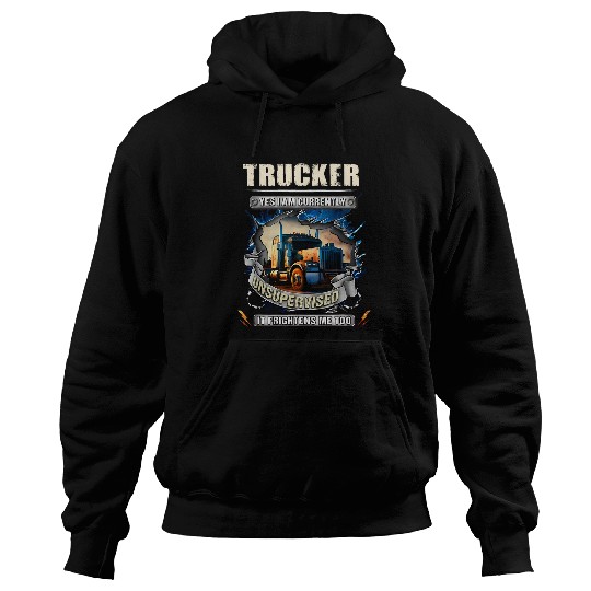 Truck Fun yes i am currently unsupervised it frightens Hoodies