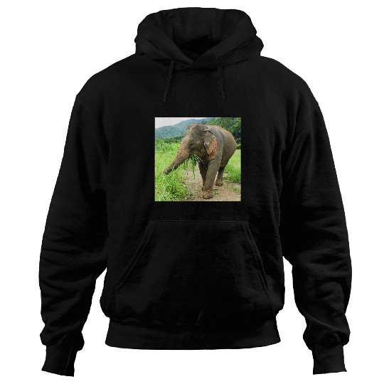 Elephant Mammal Joyful elephant from Thailand Hoodies