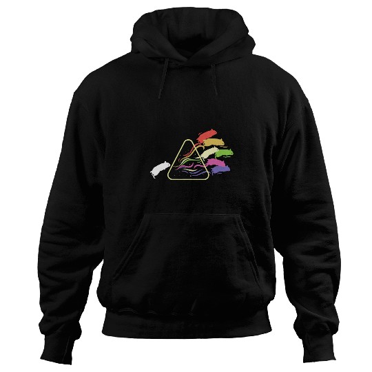 Hamster Pet Prism Hamster Philosophy Rainbow Triangular Prism Science Hoodies