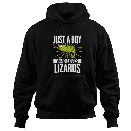 Chameleon Pet Just A Boy Who Loves Lizards Reptiles Hoodies