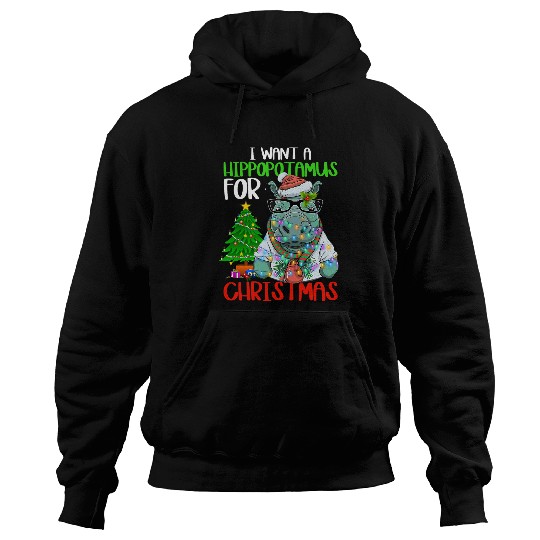 Hippo Pet I Want a Hippopotamus for Christmas Funny Geeky Kids Boys Hoodies