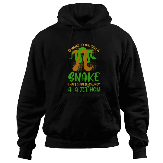 Python Pet Pithon Pi Symbol Funny Math Teacher Hoodies